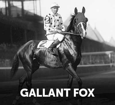 Triple Crown Winners Online Gallant Fox
