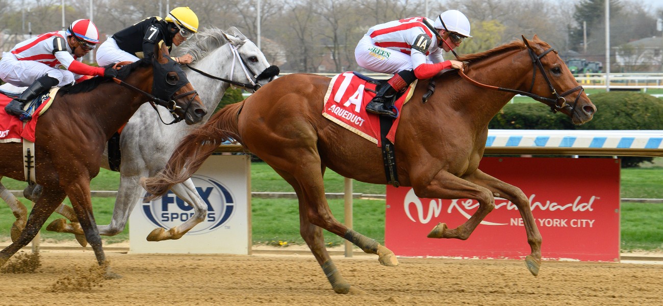 Travers 25 Strategic Focus Nyra