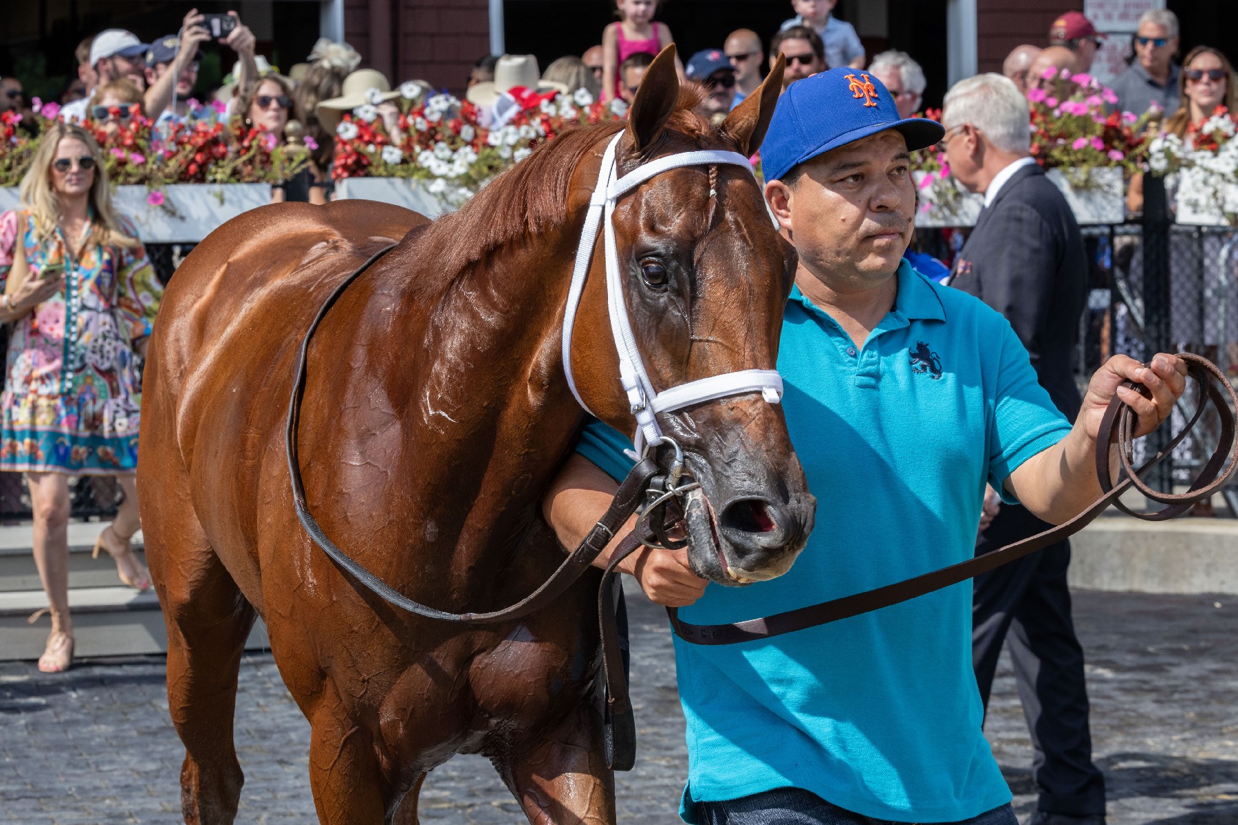 Sar 24 Horse Winners Circle